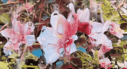 Natively Digital