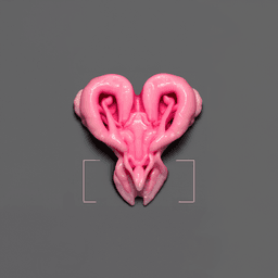 Specimen 199400001